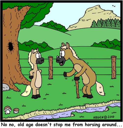 'No no, old age dosen't stop me from horsing around...'