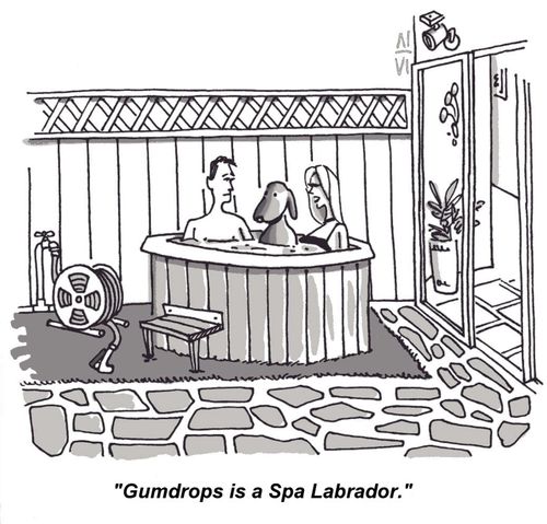 Spa Dog