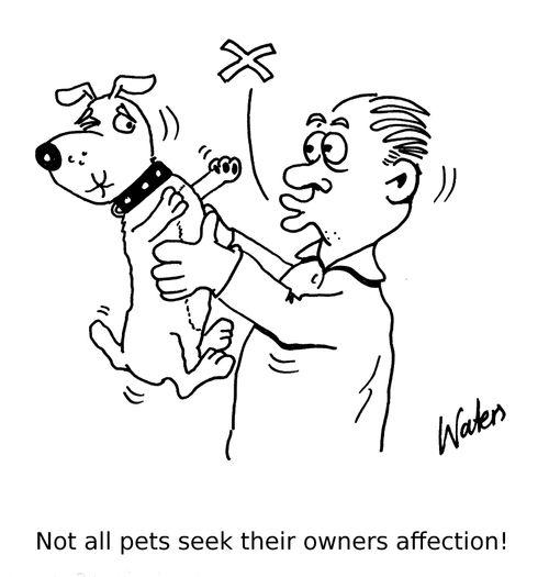 Not all pets seek their owners affection!