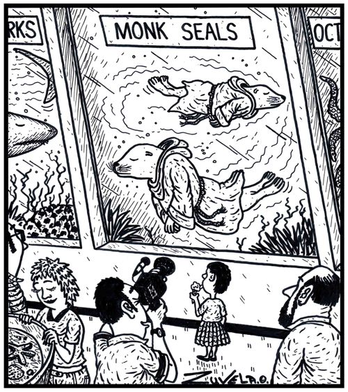 Monk Seals.