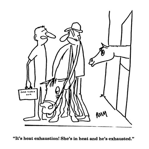 'It's heat exhaustion! She's in heat and he's exhausted.'