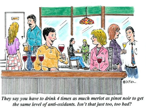 'They say you have to drink 4 times as much merlot as pinot noir to get the same level of anti-oxidants. Isn't that just too, too bad?'