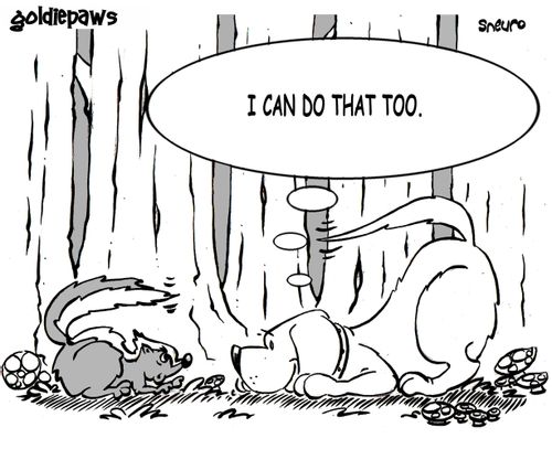 Goldiepaws: I can do that too.