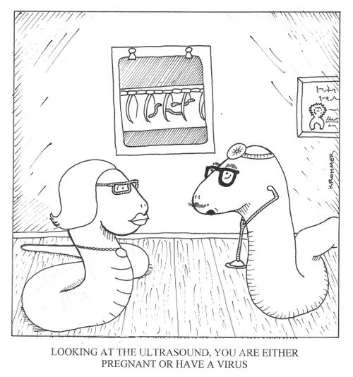 Looking at the ultrasound, you are either pregnant or have a virus.