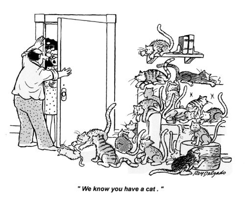 'We know you have a cat.'
