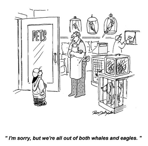 'I'm sorry, but we're all out of both whales and eagles.'