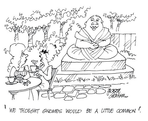 'We thought gnomes would be a little common'.