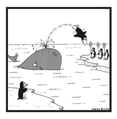Penguin Diving From Whale's Spout