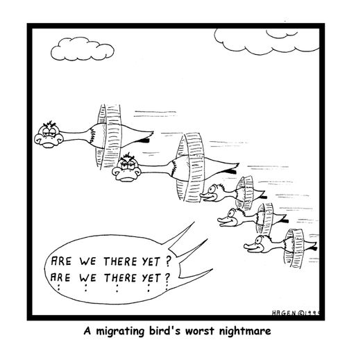 A Migrating Bird's Worse Nightmare