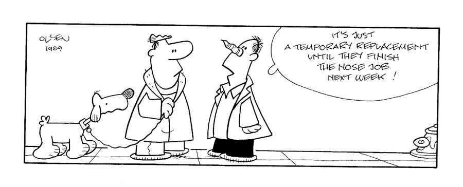 "It's just a temporary replacement until they finish the nose job next week!"