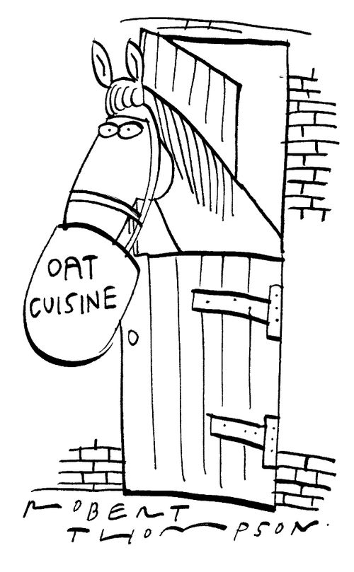 Oat Cuisine in Horse's Nosebag