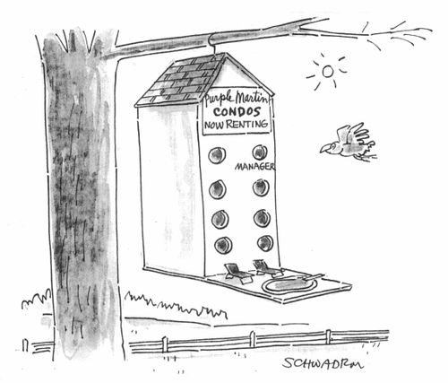'Purple Martin Condos'