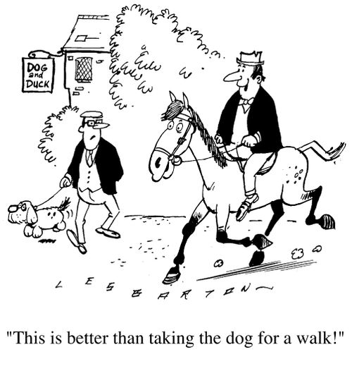 "This is better than taking the dog for a walk."