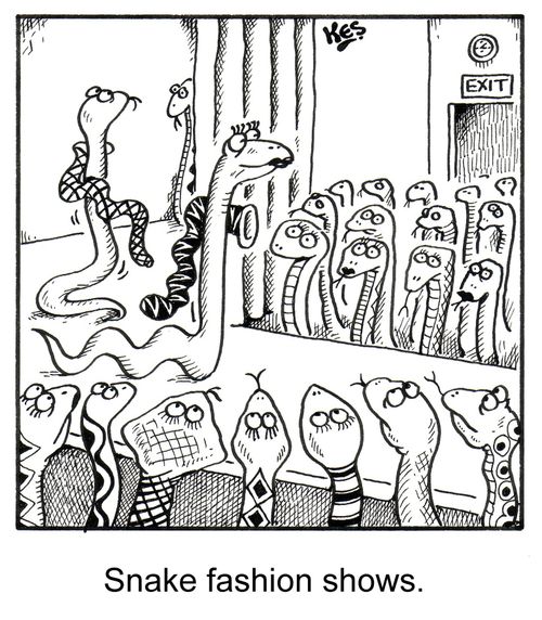 Snake fashion shows.