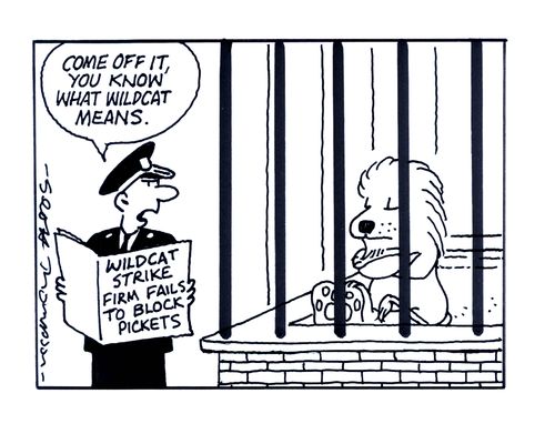 Zookeeper reading article - 'Wildcat strike firm fails to block pickets' and saying to lion; 'Come of it, you know what wildcat means.'