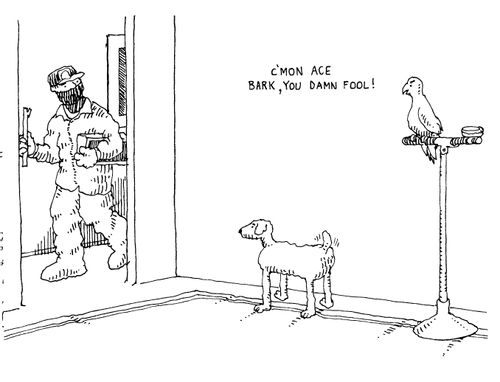 'C'mon Ace bark, you damn fool!'