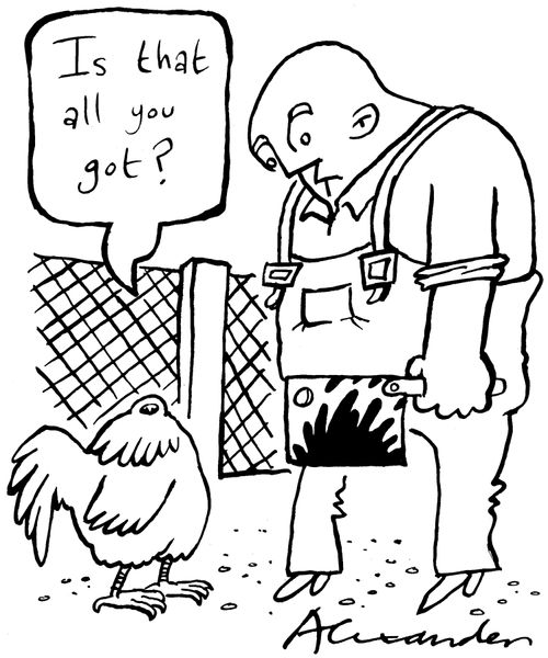 Headless chicken: "Is that all you got?"