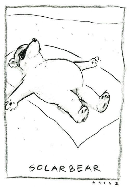 Solar bear.