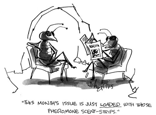 'This month's issue is just loaded with those pheromone scent-strips.'