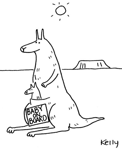 Kangaroo with 'baby on board' sign.