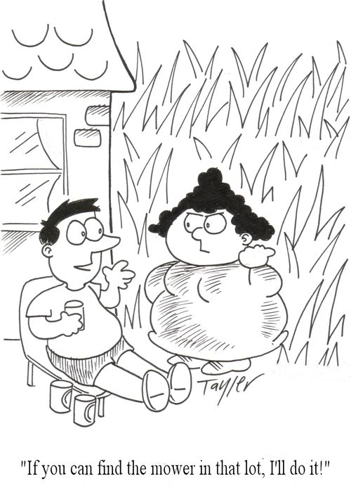 "If you can find the mower in that lot, I'll do it!"