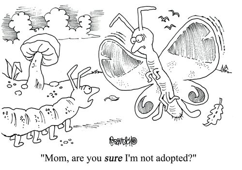 'Mom, are you sure I'm not adopted?'