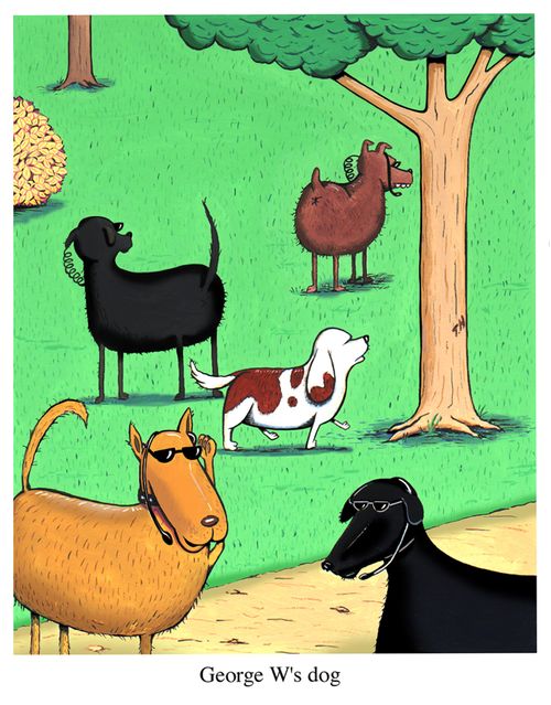 George W's dog.