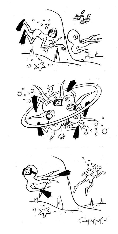 A Clash Between an Octopus and a Diver.
