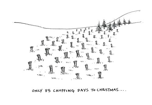 Only 85 Chopping Days to Christmas...