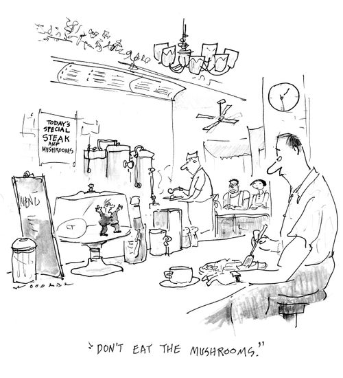 'Don't eat the mushrooms.'