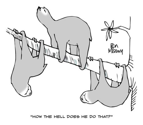 "How the hell does he do that?"
