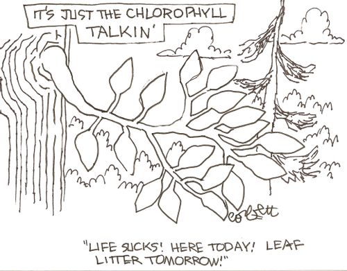 It's just the chlorophyll talkin': 'Life sucks!  Here today!  Leaf litter tomorrow!