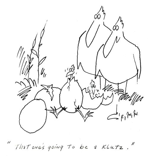 'That one's going to be a klutz.'