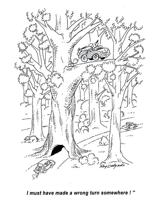 'I must have made a wrong turn somewhere!'