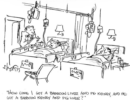 'How come I got a baboon liver and pig kidney, and he got a baboon kidney and pig liver?'