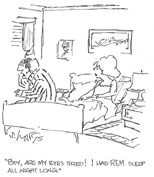 'Boy, are my eyes tired!  I had REM sleep all night long.'