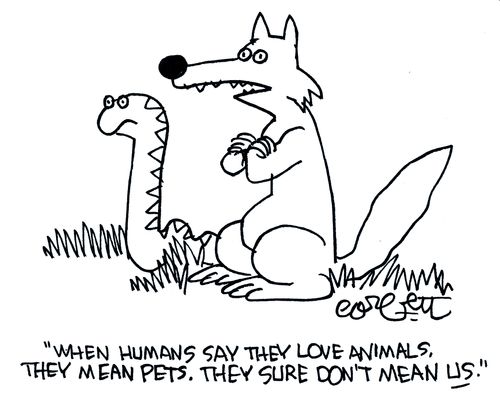 'When humans say they love animals, they mean pets. They sure don't mean us!'