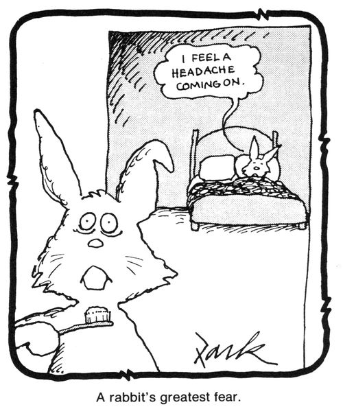 A rabbit's greatest fear.