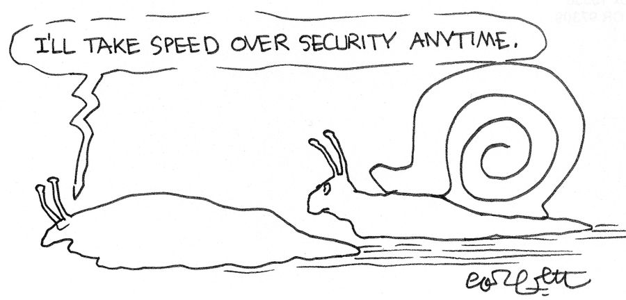 I'll take speed over security anytime.