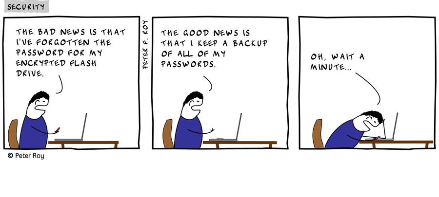 'The bad news is that I've forgotten the password for my encrypted flash drive.' 