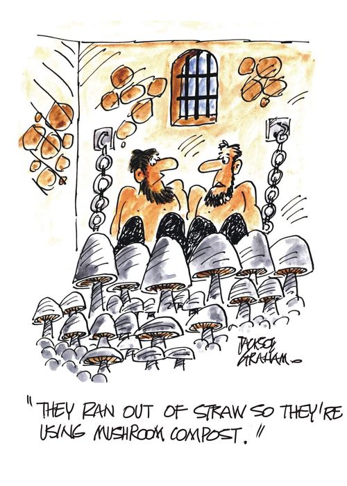 "They ran out of straw so they're using mushroom compost."