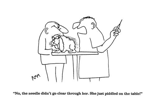 'No, the needle didn't go clear through her....'