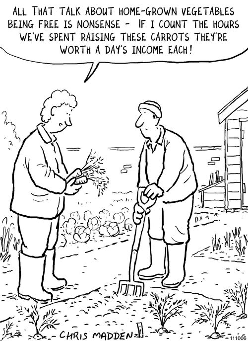 The cost of home grown vegetables