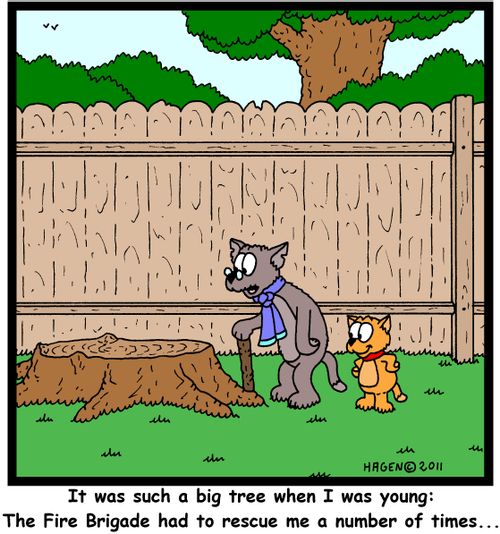 'It was such a big tree when I was young: The Fire Brigade had to rescue me a number of times...'