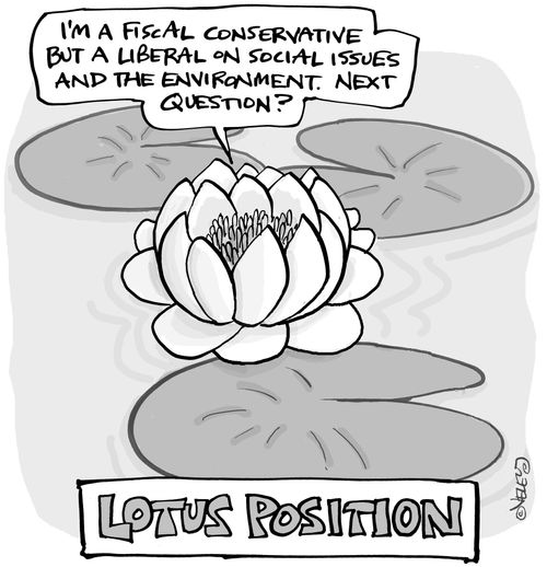 Lotus Position: 'I'm a fiscal conservative, but a liberal on social issues and the environment...'