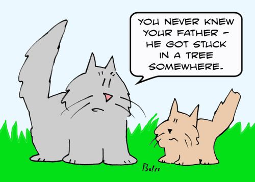 'You never knew your father - he got stuck in a tree somewhere.'