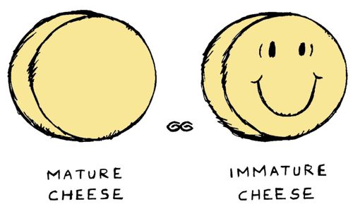 Mature cheese - Immature cheese.