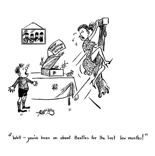 'Well - you've been on about beetles for the last few months!'