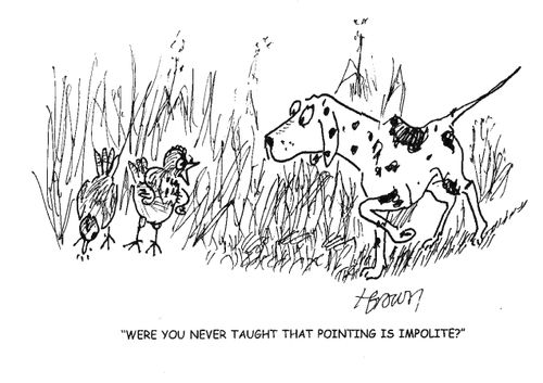 'Were you never taught that pointing is impolite?'