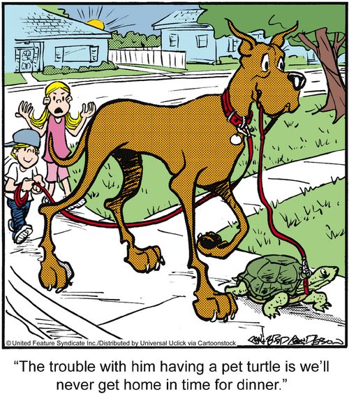 'The trouble with him having a pet turtle is we'll never get home in time for dinner.'